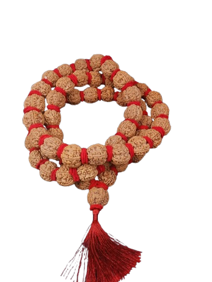 5 मुखी रुद्राक्ष ( माला के साथ ) – 5 Mukhi Rudraksha Mala
