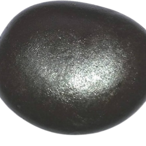 Thakurji Natural Narayan Shaligram Stone