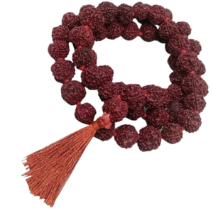 8 मुखी रुद्राक्ष ( माला के साथ )- 8 Mukhi Rudraksha Mala